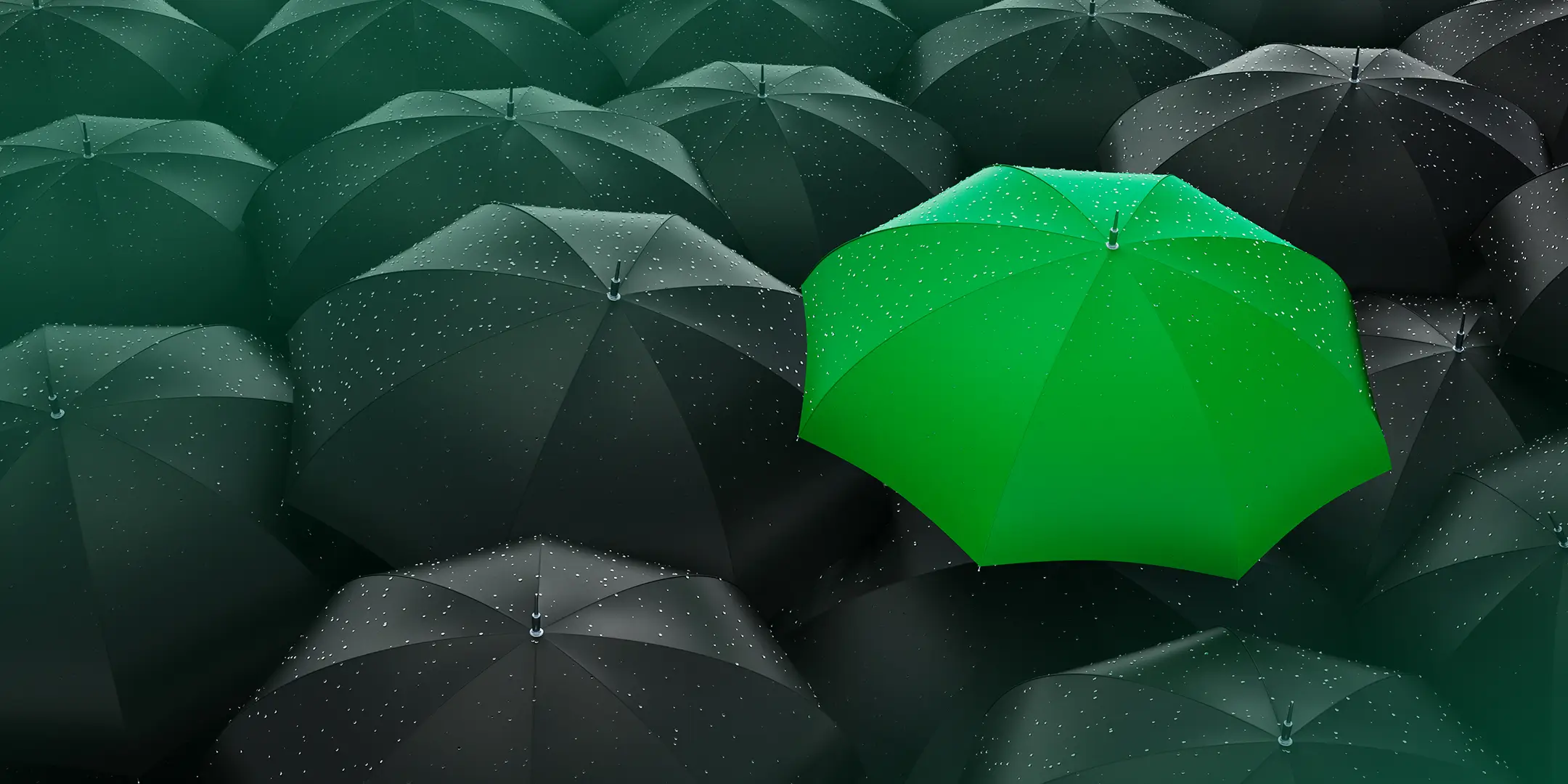 Climate Adaptation and Resilience in Banking: The Foundations